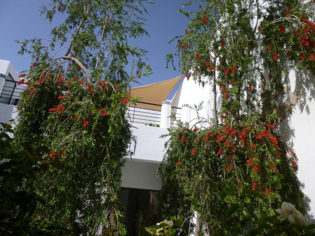 Riad Tchina Marrakesz Zewnętrze zdjęcie